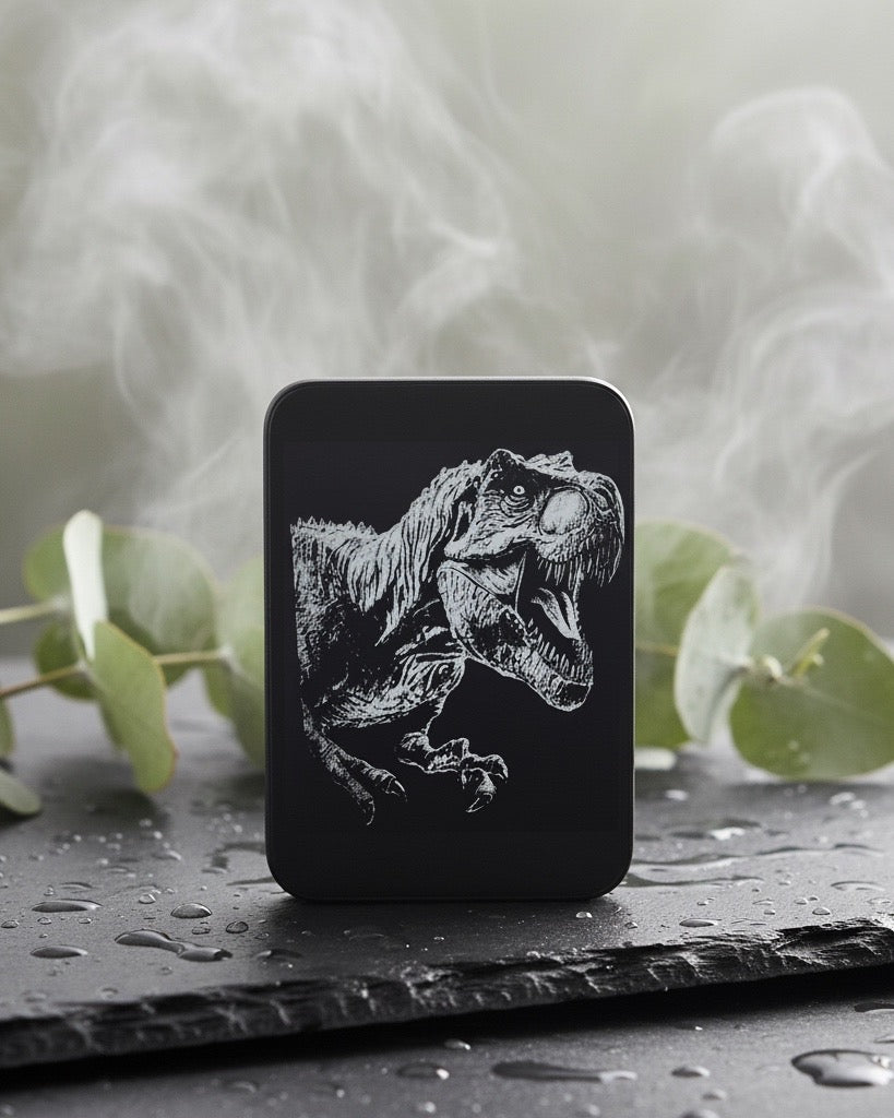 Nathan Metalldose mit Spielkarten, Schwarz, mit verschiedenen Motiven Lasergravur, Rechteckig, 9.5 x 6.5 x 3 cm, Geschenk